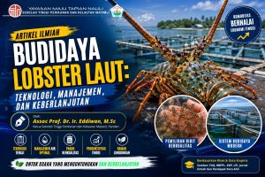 budidaya lobster